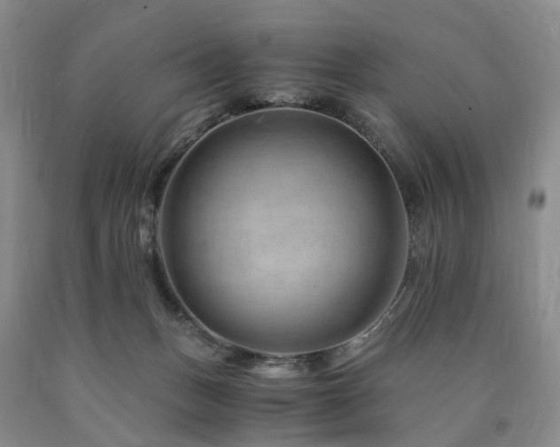 X0000090880175200707271318