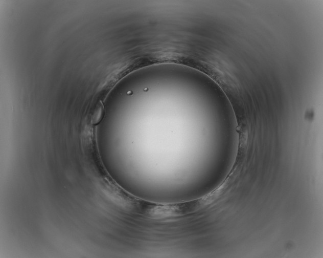 X0000090880179200707271319