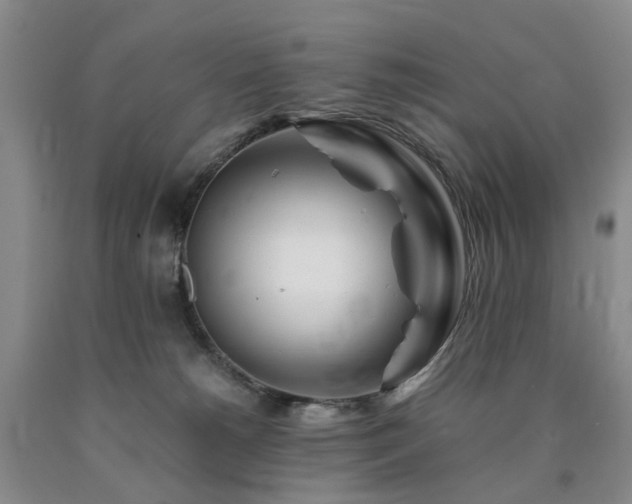 X0000090880180200707271319