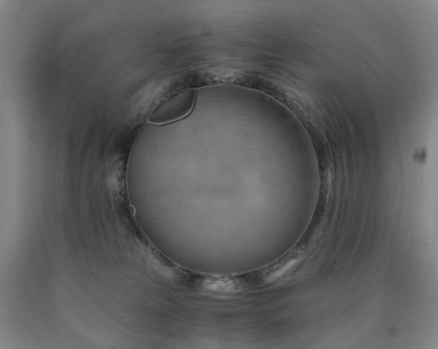 X0000090880181200707271319