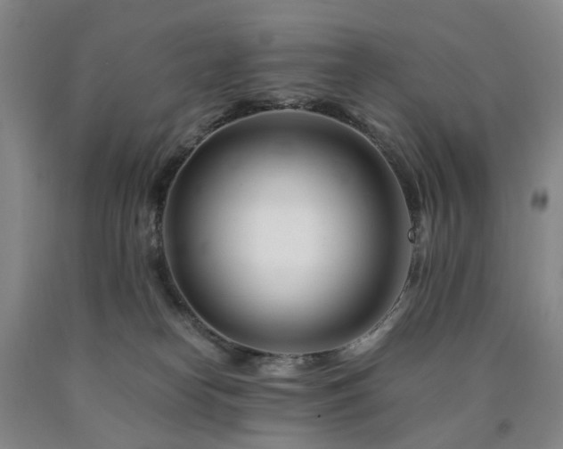 X0000090880182200707271319