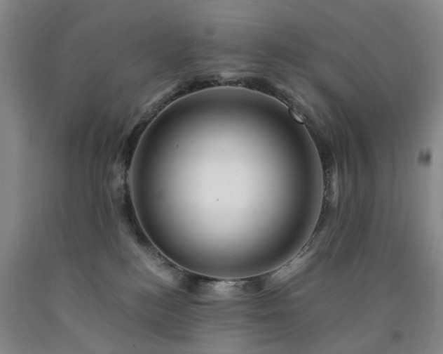 X0000090880184200707271319