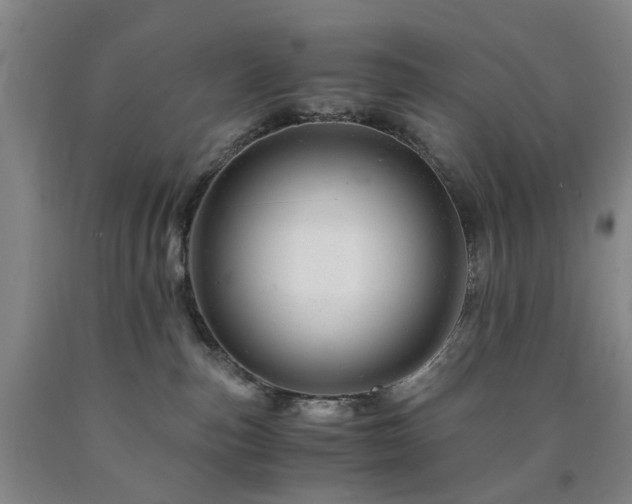 X0000090880187200707271319