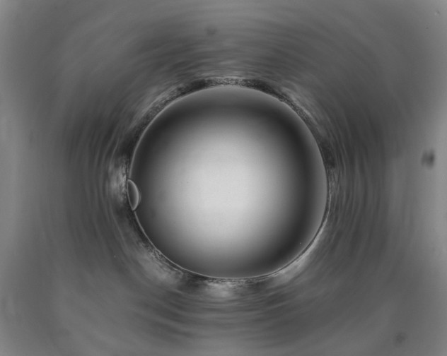 X0000090880190200707271319