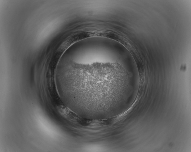 X0000090880191200707271319