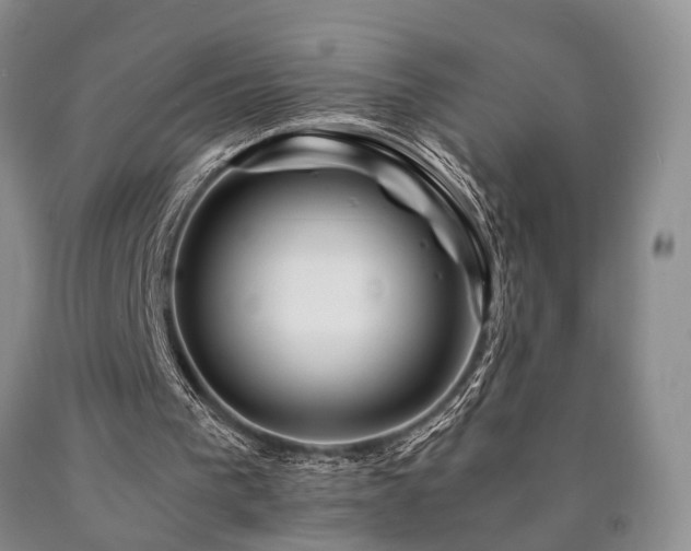 X0000090880193200707271318