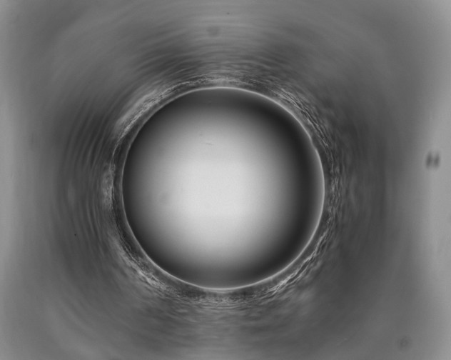 X0000090880194200707271318