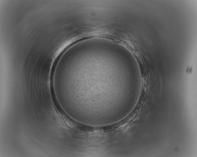 X0000090880196200707271318