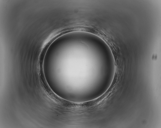 X0000090880198200707271318