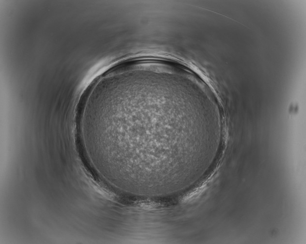 X0000090880199200707271318