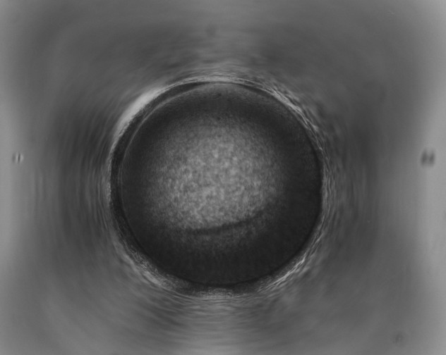 X0000090880200200707271318