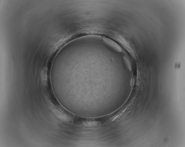X0000090880202200707271318