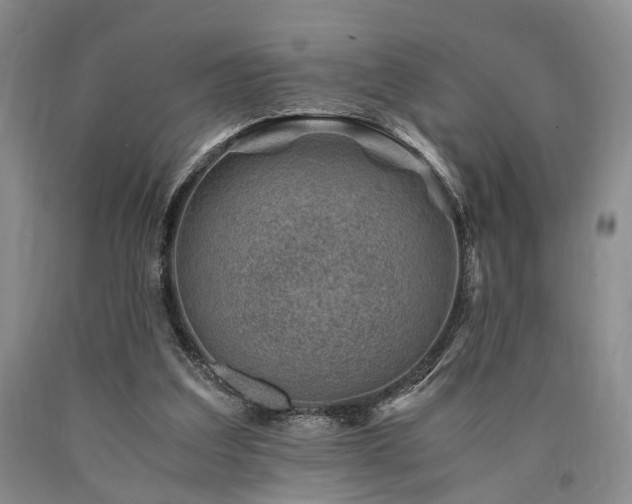 X0000090880203200707271318