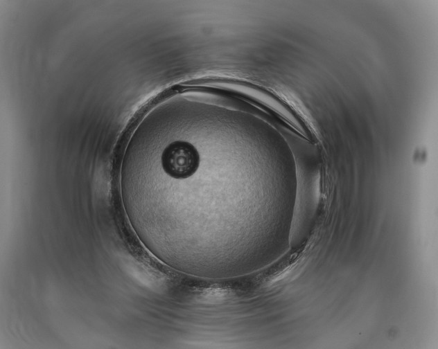 X0000090880204200707271318