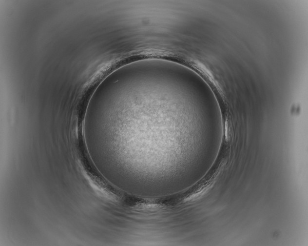 X0000090880205200707271318