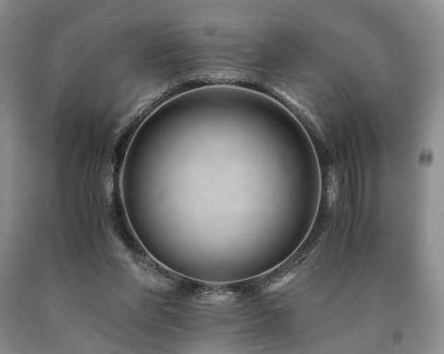 X0000090880206200707271318