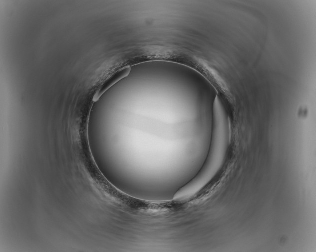 X0000090880209200707271318