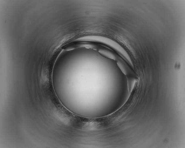 X0000090880212200707271318