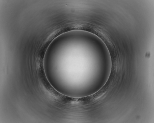 X0000090880216200707271318