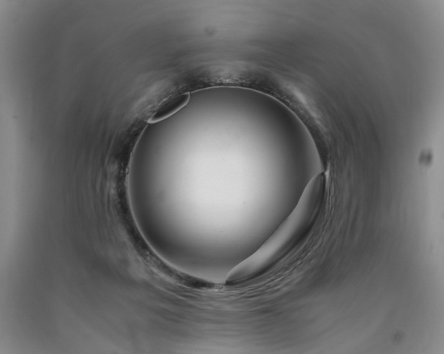 X0000090880217200707271318