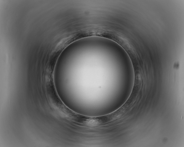 X0000090880218200707271318