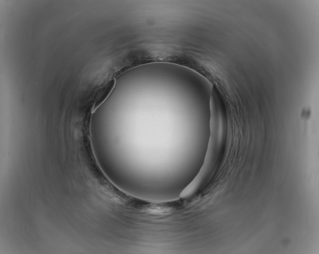 X0000090880221200707271318