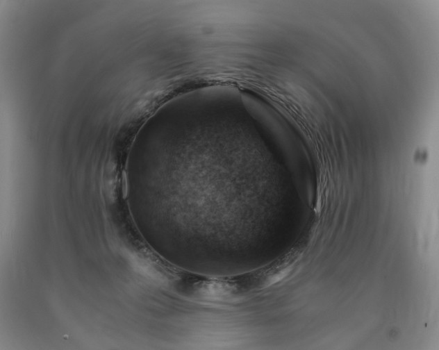 X0000090880223200707271318