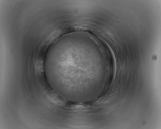 X0000090880224200707271318