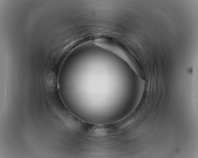 X0000090880228200707271318
