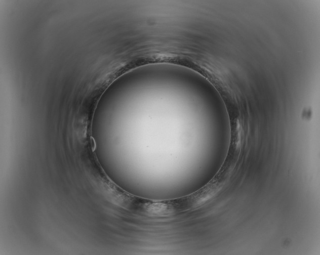 X0000090880230200707271318