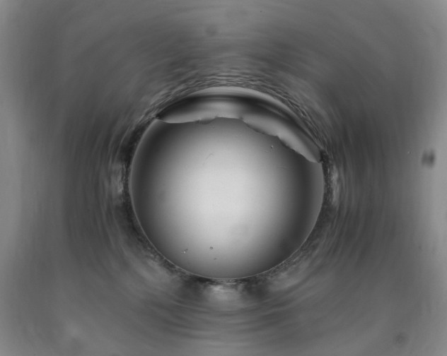 X0000090880232200707271318
