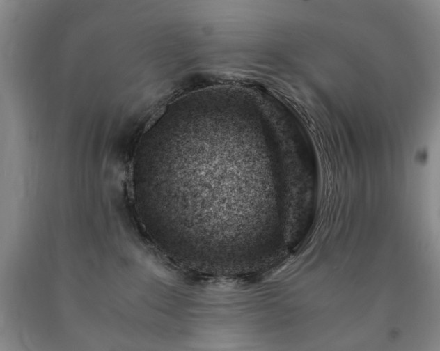 X0000090880235200707271318