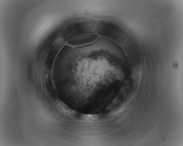 X0000090880239200707271318