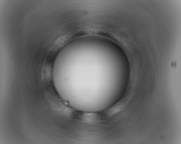 X0000090880240200707271318