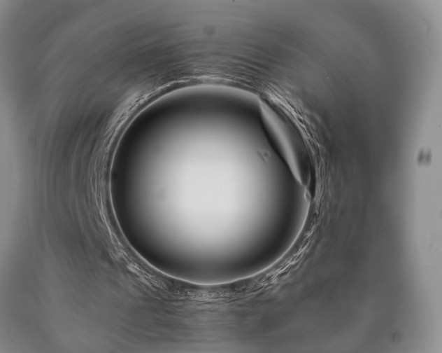 X0000090880241200707271317