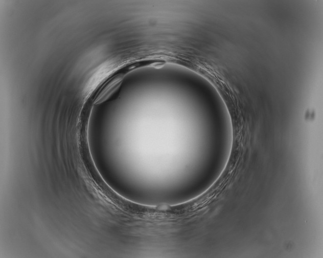 X0000090880242200707271317