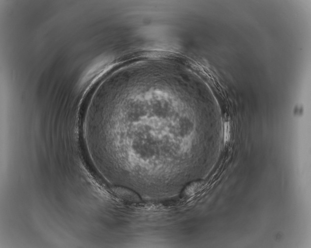 X0000090880243200707271317