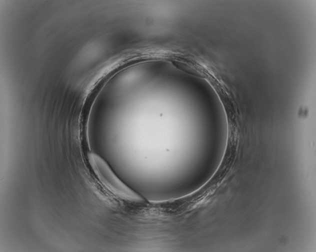 X0000090880244200707271317