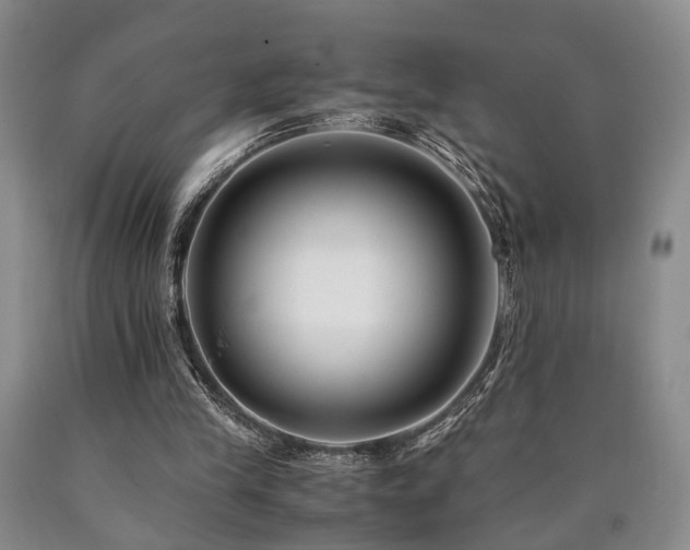 X0000090880245200707271317