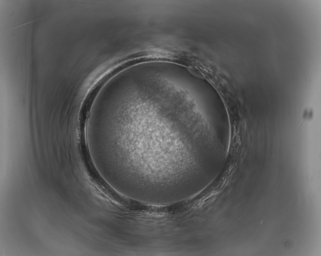 X0000090880247200707271317