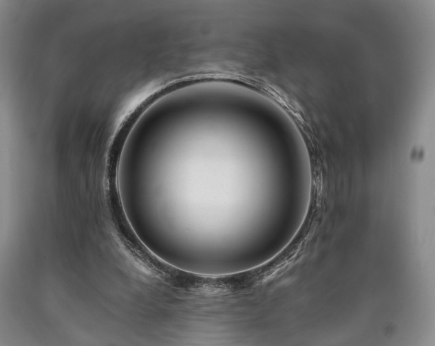 X0000090880248200707271317