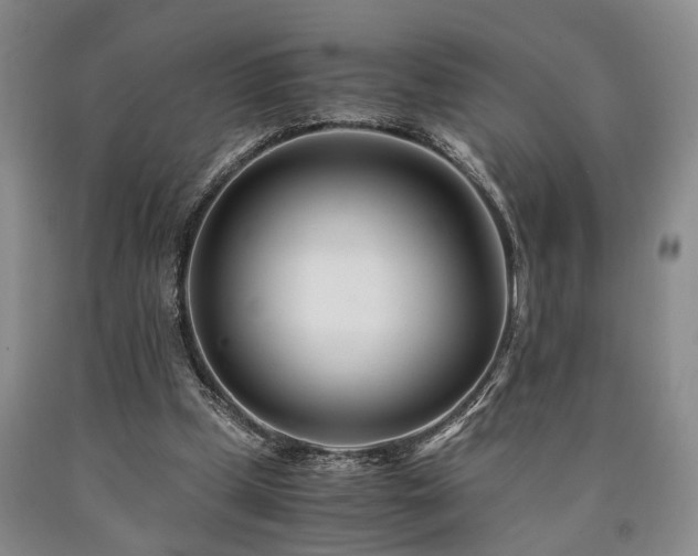 X0000090880249200707271317