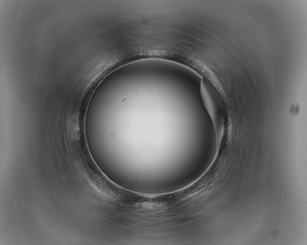 X0000090880251200707271317