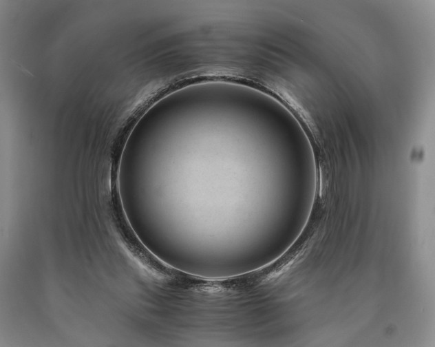 X0000090880253200707271317