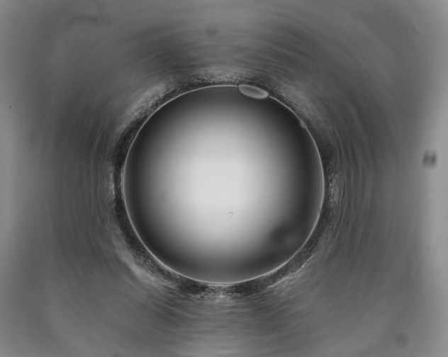 X0000090880254200707271317