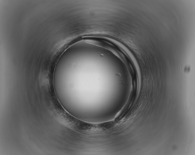 X0000090880256200707271317