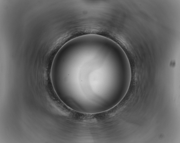 X0000090880258200707271317
