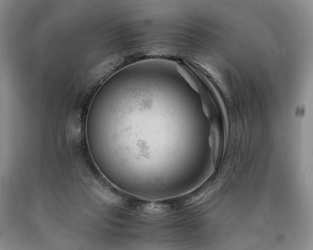 X0000090880261200707271317