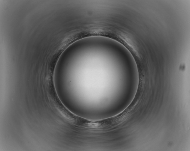 X0000090880265200707271317