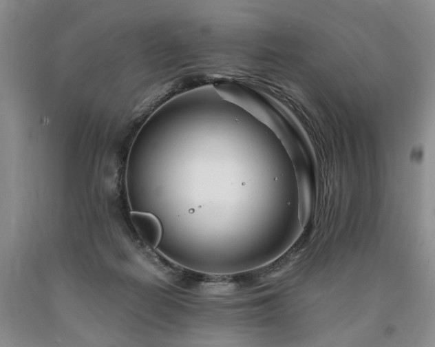 X0000090880266200707271317